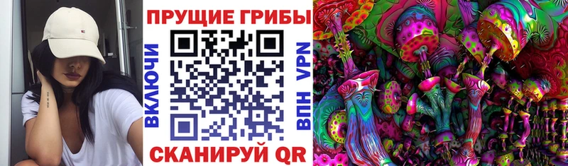 даркнет клад  Давлеканово  Псилоцибиновые грибы Psilocybine cubensis 